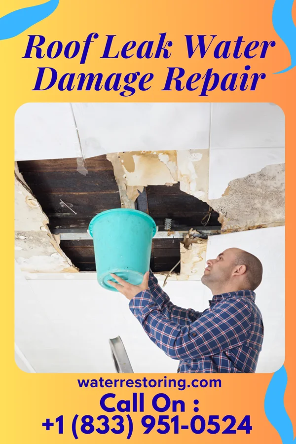 Roof Leak Water Damage Repair in Grenora, ND
